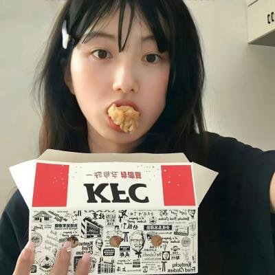 竞选伙伴封面